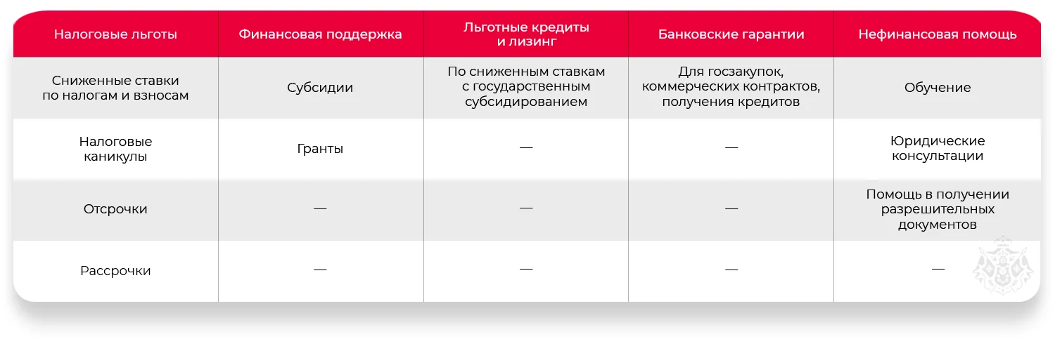 Государственная поддержка субъектов МСП в 2025 году
